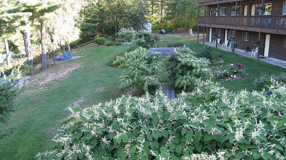 Spring Lake Resort Dwight Exterior foto